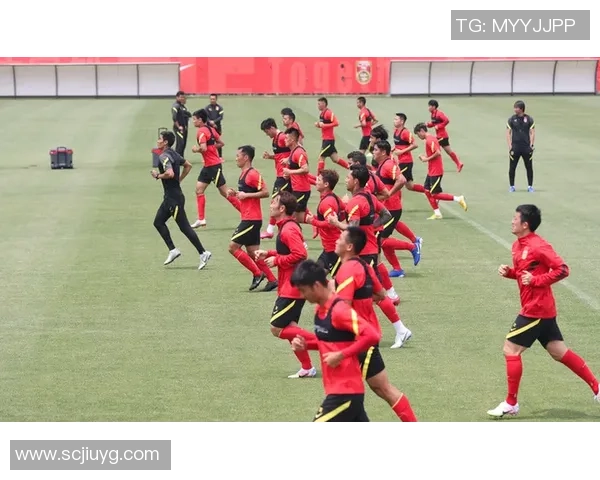 上海飞盘队耐力对比深度分析揭示运动员训练与表现的关系